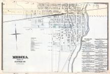 Medina - South, Niagara and Orleans County 1875